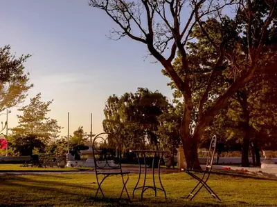a park with two swings and a tree at Champagne De Kleijne Bos Pty Ltd in Paarl