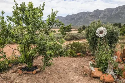 a garden with apple trees and a windmill at 31 on Witzenberg, Tulbagh in Wolseley