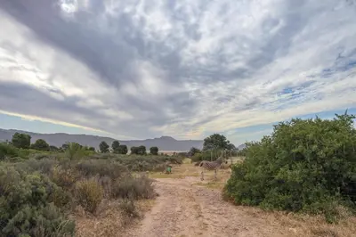 a zebra walking down a dirt road in a field at 31 on Witzenberg, Tulbagh in Wolseley