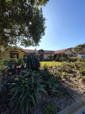 a garden with flowers and plants in front of a house at 5 BEDROOM CAPE TOWN FAMILY HOME PET FRIENDLY in Cape Town