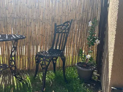 a black chair and a table and a plant at The Charming Place in Cape Town
