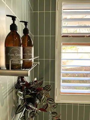 two bottles of soap on a shelf in a bathroom at The Paarl Grand in Paarl
