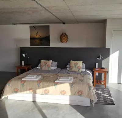 a bedroom with a large bed in a room at Suikerbos in Pringle in Pringle Bay