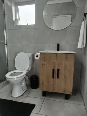 a bathroom with a toilet and a sink and a mirror at Harmonie Self Catering in Wolseley