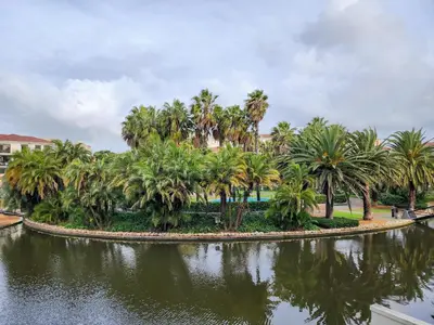 a group of palm trees and a body of water at Family-Friendly Home with Ample Space in Cape Town