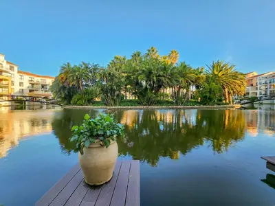 a plant in a pot sitting on a dock near a body of water at Walkable, pools, park and great for families in Cape Town