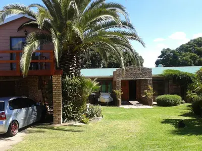 a palm tree in front of a house with a car at Little Lotta Cottage in Caledon