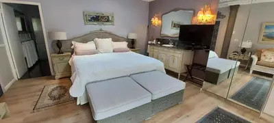 a bedroom with a large bed and a mirror at Roosboom Guest Apartments in Somerset West