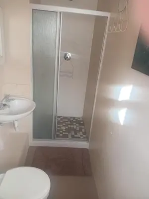 a bathroom with a shower and a toilet and a sink at Out of Africa in Sandbaai, Hermanus in Hermanus