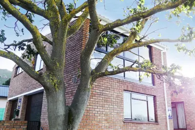 a large tree in front of a brick building at Shalom Self Catering in Kleinmond