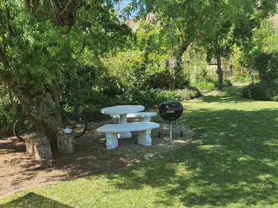 a picnic table and a grill next to a tree at Belle vallée Cottage in Greyton