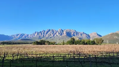 a field with a mountain range in the background at Sandrivier Farm Stay in Worcester