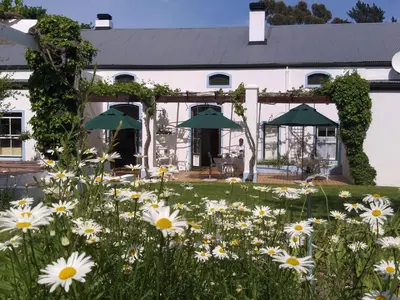 a garden in front of a white house with flowers at L'Auberge Chanteclair in Franschhoek