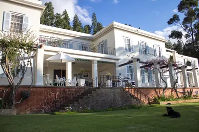a black cat sitting on the grass in front of a house at Morton Manor in Somerset West
