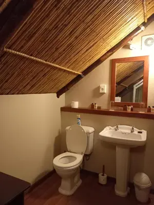 a bathroom with a toilet and a sink at Ongegund Lodge in Somerset West