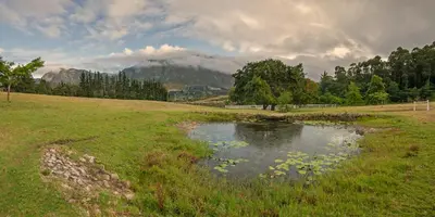 a small pond in a field with mountains in the background at High Season Farm Luxury Cottages in Hermanus