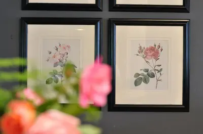 two framed pictures of flowers on a wall at Blueberry Hill Cottages in Franschhoek