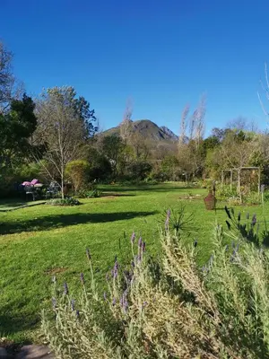 a field of grass with a mountain in the background at 30 Oak Street in Greyton