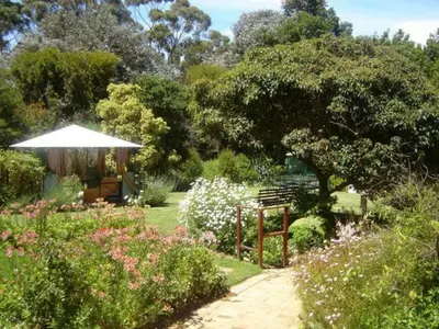 a garden with a bench and an umbrella at Mooring House in Somerset West