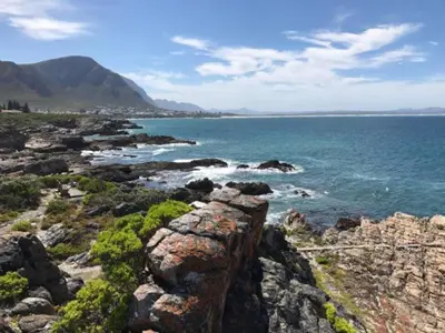 Gallery image of The Wildflower Studio in Hermanus