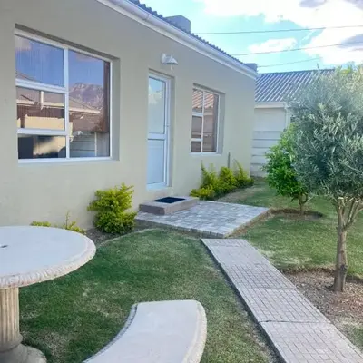 Olive Tree