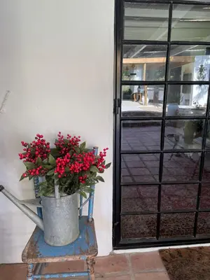 a pail of red flowers sitting in front of a door at 13 On Vigne in Greyton