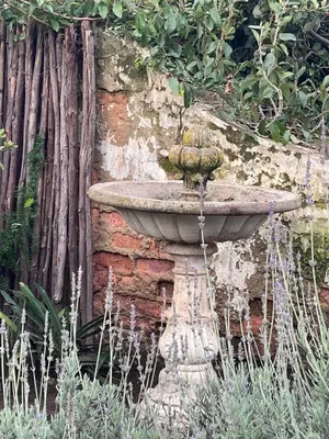 a stone bird bath in front of a brick wall at 13 On Vigne in Greyton