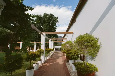 a brick walkway with potted plants on it at Leipzig Country House & Winery in Nuy