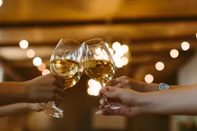 two people holding up glasses of white wine at Leipzig Country House & Winery in Nuy