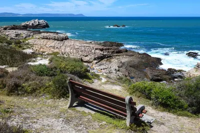 a bench sitting on the side of the ocean at Fynbos Feniks Family House in Voëlklip in Hermanus