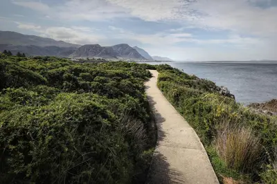a path next to a body of water with a mountain at Fynbos Feniks Family House in Voëlklip in Hermanus