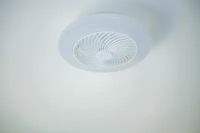 a close up of a white spiralling object on a white background at Meah lane , TableView in Cape Town