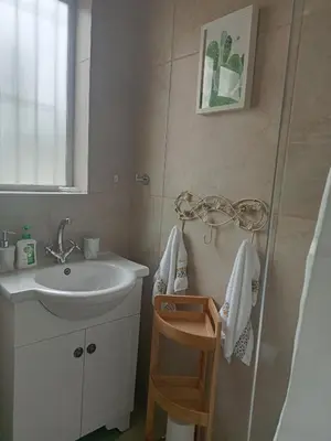 a small bathroom with a sink and a shower at Culemborg Court in Cape Town