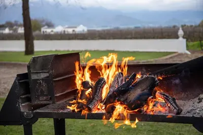a fire in a grill in a park at La Bri Guesthouse in Rawsonville