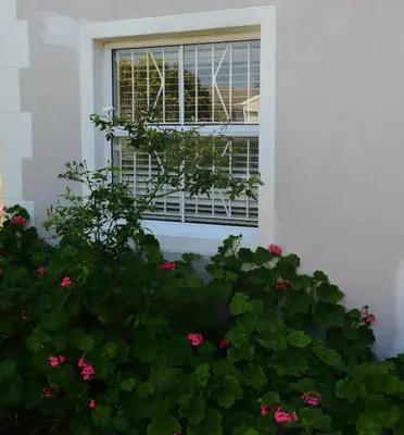 a window with pink flowers in front of a building at Bradclin @ York in Cape Town
