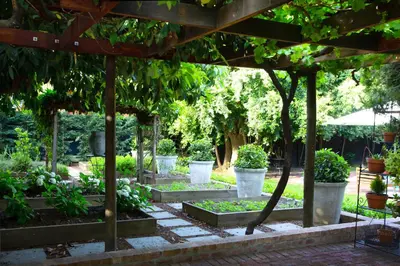 a garden with pots of plants and trees at Paarl Hideaway in Paarl
