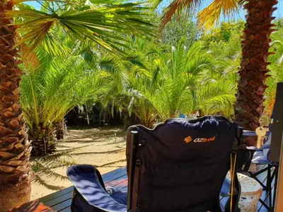 a chair sitting on a porch with palm trees at The Farmhouse Palm Tree Cabin in Stellenbosch
