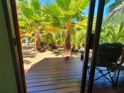 an open door to a deck with palm trees at The Farmhouse Palm Tree Cabin in Stellenbosch
