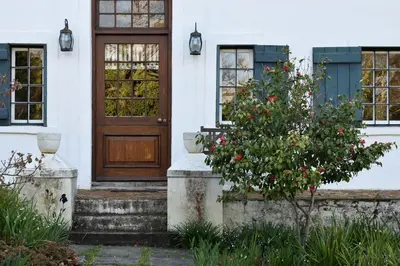 a house with a wooden door and a tree at Wildekrans Country House in Botrivier