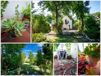 a collage of pictures of plants and a house at Bluebelle Cottage in Greyton