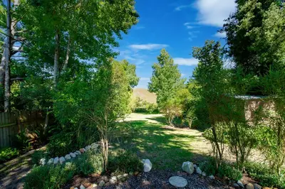 a garden with trees and a fence at Bluebelle Cottage in Greyton