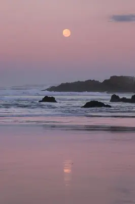 a moon rising over a beach with the ocean at Casa Familia in Hermanus