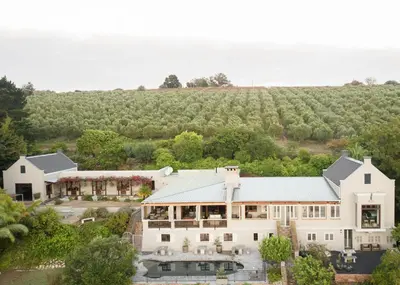 an aerial view of a house with a vineyard at Avemore Manor House wood fired hot tub magical views and full Backup power in Stellenbosch