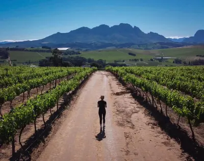 a person walking down a dirt road through a vineyard at Newly Renovated - Stellenbosch Farm Cottage in Stellenbosch