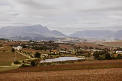 a view of a farm with mountains in the background at Newly Renovated - Stellenbosch Farm Cottage in Stellenbosch