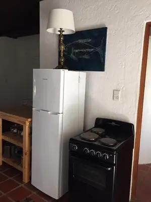 a white refrigerator next to a stove with a lamp on top at Haven of Peace and Garden Cottage in Hermanus