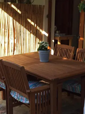 a wooden table with a potted plant sitting on top at Haven of Peace and Garden Cottage in Hermanus