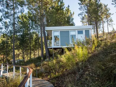 a tiny house on a hill with trees at Old Mac Daddy in Botrivier