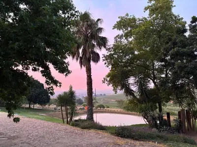 a pond with a palm tree in a park at Belcharto Accommodation in Stellenbosch