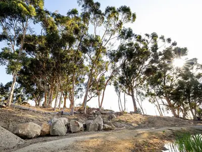 a dirt road with trees and rocks on a hill at Belcharto Accommodation in Stellenbosch